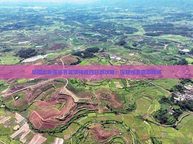 阜阳出发张家界玻璃栈道四日游攻略：探秘绝美旅游路线