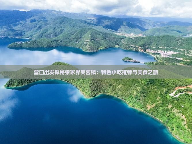 营口出发探秘张家界芙蓉镇：特色小吃推荐与美食之旅