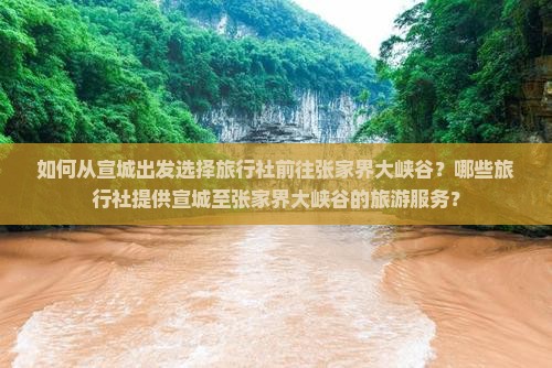 如何从宣城出发选择旅行社前往张家界大峡谷？哪些旅行社提供宣城至张家界大峡谷的旅游服务？