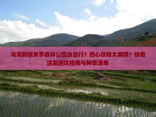 乌海到张家界森林公园自由行？担心攻略太麻烦？快看这篇避坑指南与种草清单