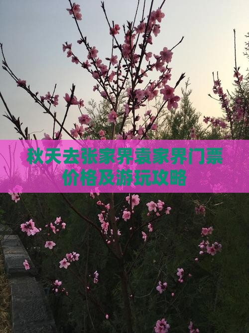 秋天去张家界袁家界门票价格及游玩攻略