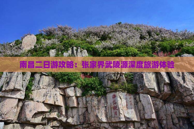 南昌二日游攻略：张家界武陵源深度旅游体验
