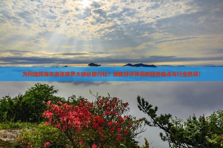 为何选择海东去张家界大峡谷旅行社？游客好评背后的服务痛点与行业热词！