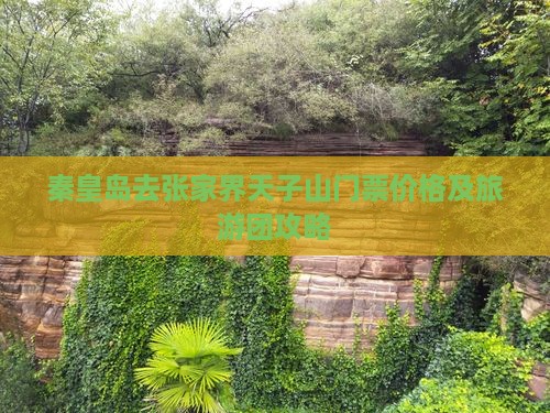 秦皇岛去张家界天子山门票价格及旅游团攻略