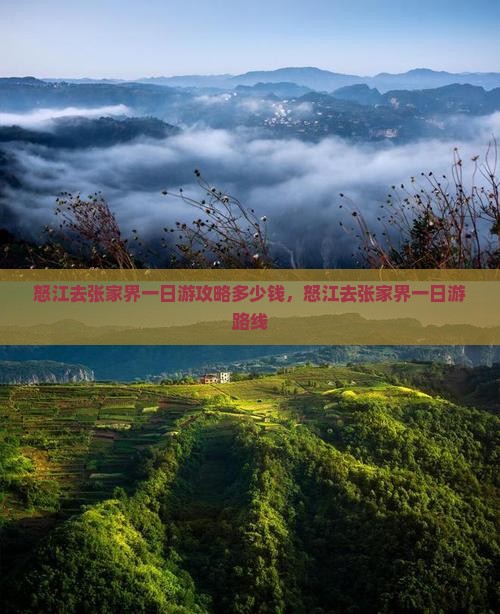 怒江去张家界一日游攻略多少钱，怒江去张家界一日游路线