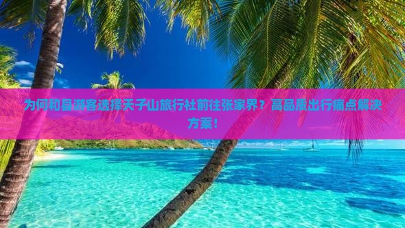 为何和县游客选择天子山旅行社前往张家界？高品质出行痛点解决方案！