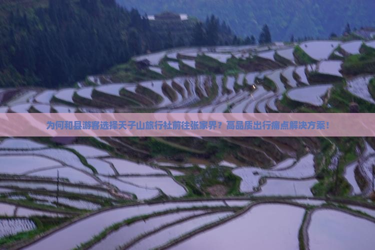 为何和县游客选择天子山旅行社前往张家界？高品质出行痛点解决方案！