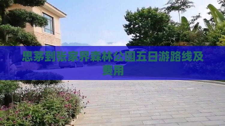 思茅到张家界森林公园五日游路线及费用