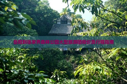 岳阳到张家界森林公园大型旅游团报价及行程指南