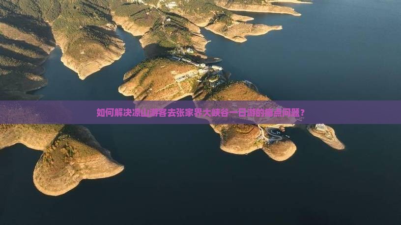 如何解决凉山游客去张家界大峡谷一日游的痛点问题？