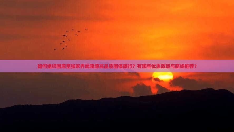 如何组织固原至张家界武陵源高品质团体旅行？有哪些优惠政策与路线推荐？