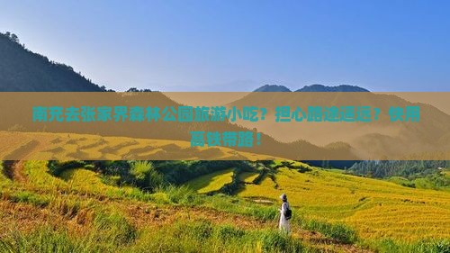 南充去张家界森林公园旅游小吃？担心路途遥远？快用高铁带路！