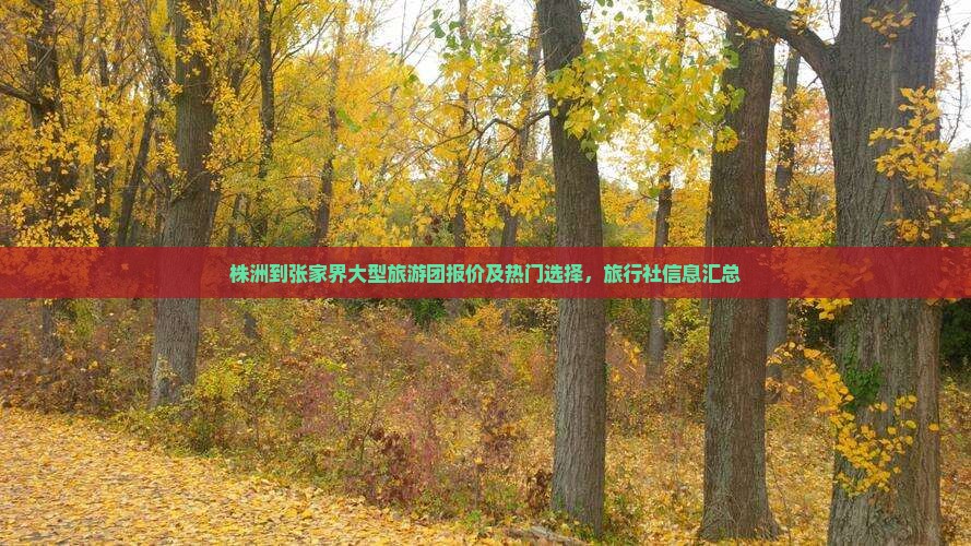 株洲到张家界大型旅游团报价及热门选择，旅行社信息汇总