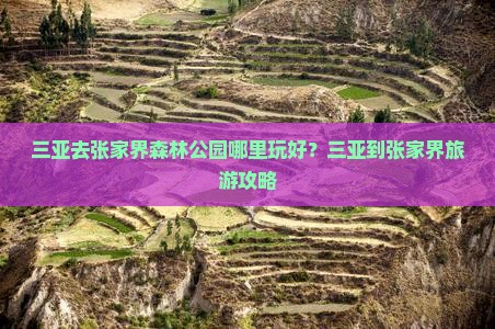 三亚去张家界森林公园哪里玩好？三亚到张家界旅游攻略