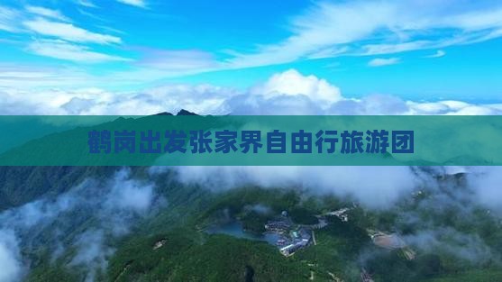 鹤岗出发张家界自由行旅游团