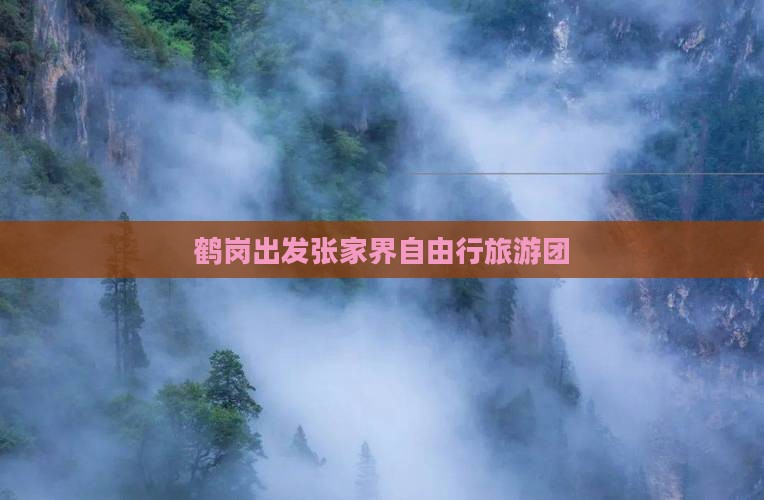 鹤岗出发张家界自由行旅游团