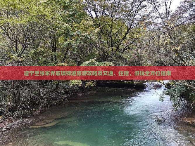 遂宁至张家界玻璃栈道旅游攻略及交通、住宿、游玩全方位指南