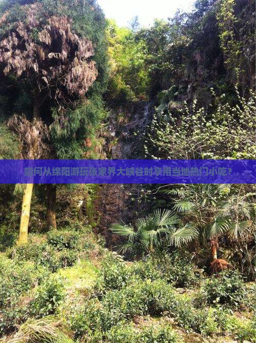 如何从绵阳游玩张家界大峡谷时享用当地热门小吃？