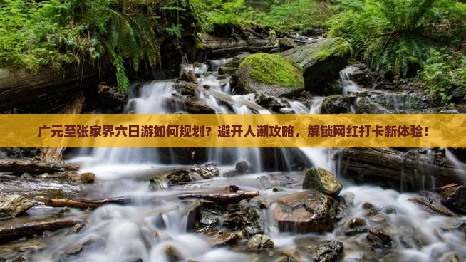 广元至张家界六日游如何规划？避开人潮攻略，解锁网红打卡新体验！
