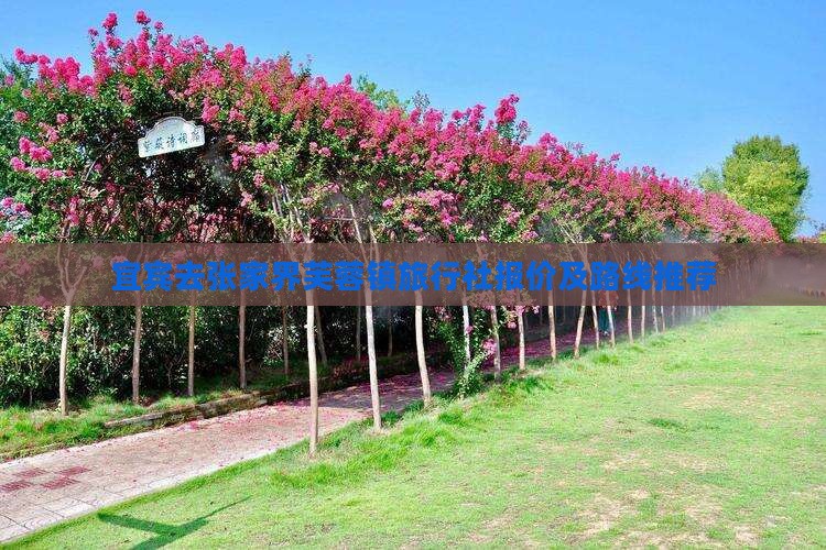 宜宾去张家界芙蓉镇旅行社报价及路线推荐