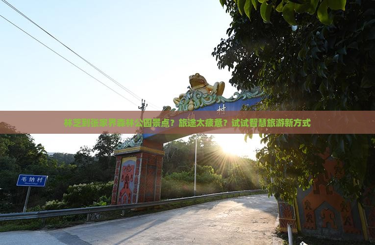 林芝到张家界森林公园景点？旅途太疲惫？试试智慧旅游新方式
