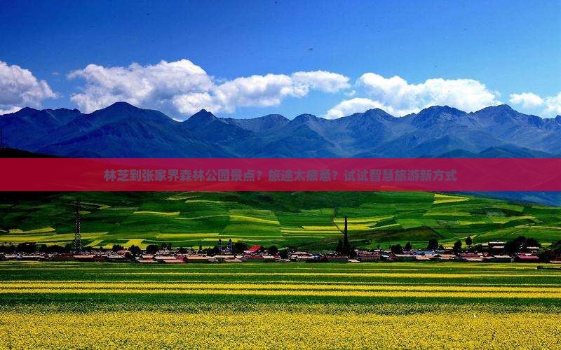 林芝到张家界森林公园景点？旅途太疲惫？试试智慧旅游新方式