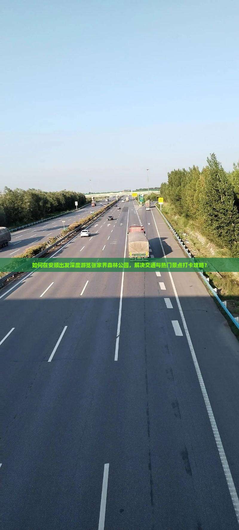 如何在安顺出发深度游览张家界森林公园，解决交通与热门景点打卡攻略？