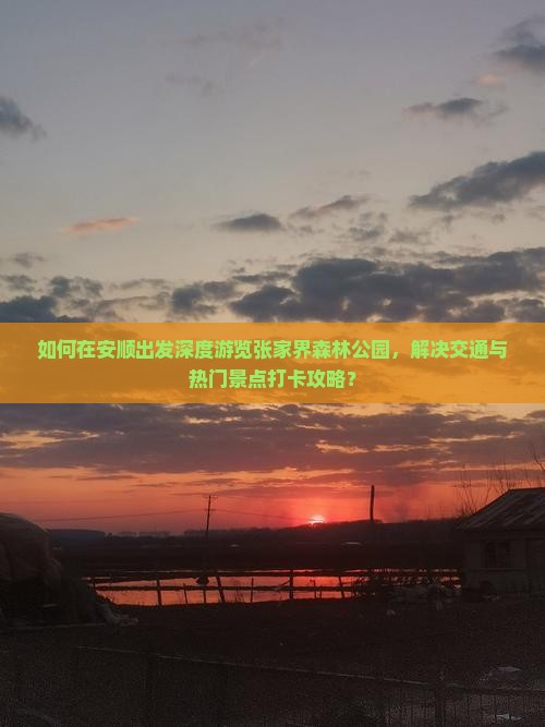 如何在安顺出发深度游览张家界森林公园，解决交通与热门景点打卡攻略？