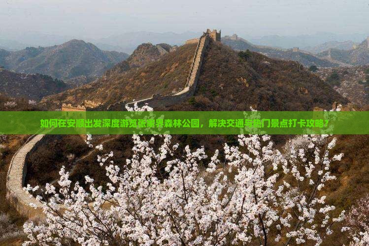 如何在安顺出发深度游览张家界森林公园，解决交通与热门景点打卡攻略？