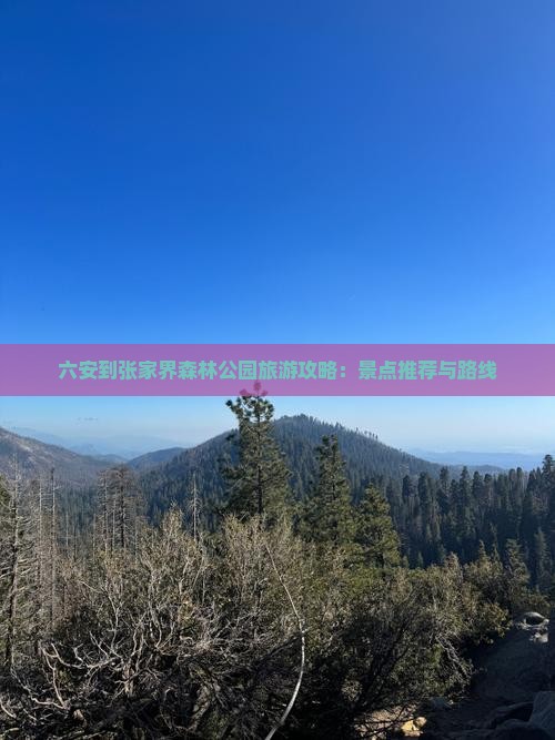 六安到张家界森林公园旅游攻略：景点推荐与路线