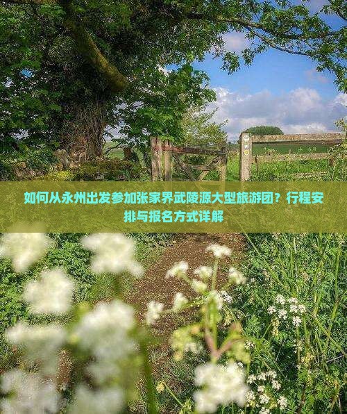 如何从永州出发参加张家界武陵源大型旅游团？行程安排与报名方式详解