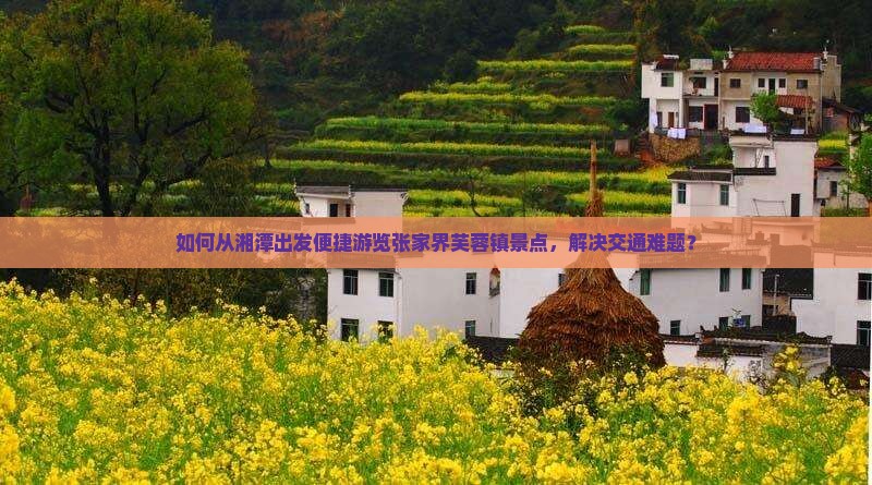 如何从湘潭出发便捷游览张家界芙蓉镇景点，解决交通难题？