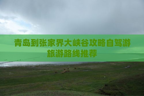 青岛到张家界大峡谷攻略自驾游旅游路线推荐