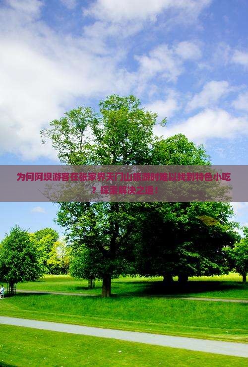 为何阿坝游客在张家界天门山旅游时难以找到特色小吃？探索解决之道！