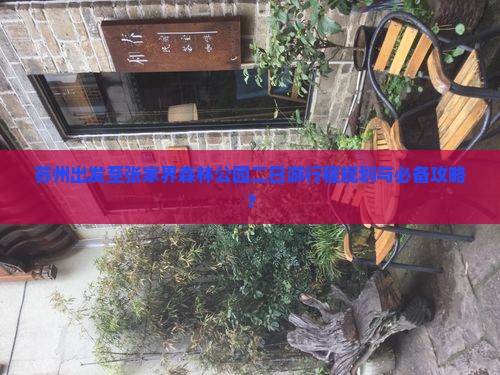 苏州出发至张家界森林公园二日游行程规划与必备攻略？