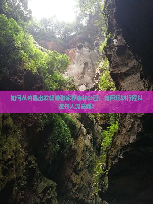 如何从许昌出发畅游张家界森林公园，如何规划行程以避开人流高峰？