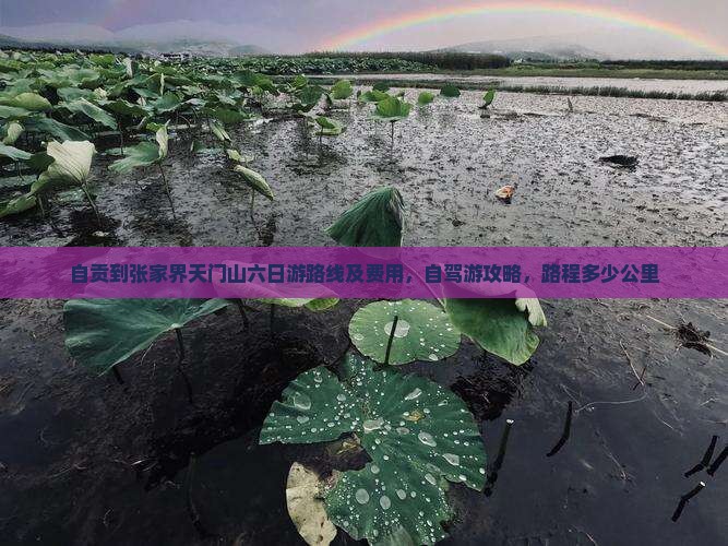 自贡到张家界天门山六日游路线及费用，自驾游攻略，路程多少公里