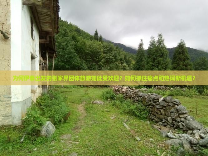 为何伊春出发的张家界团体旅游如此受欢迎？如何抓住痛点和热词新机遇？