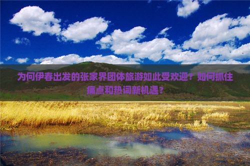 为何伊春出发的张家界团体旅游如此受欢迎？如何抓住痛点和热词新机遇？
