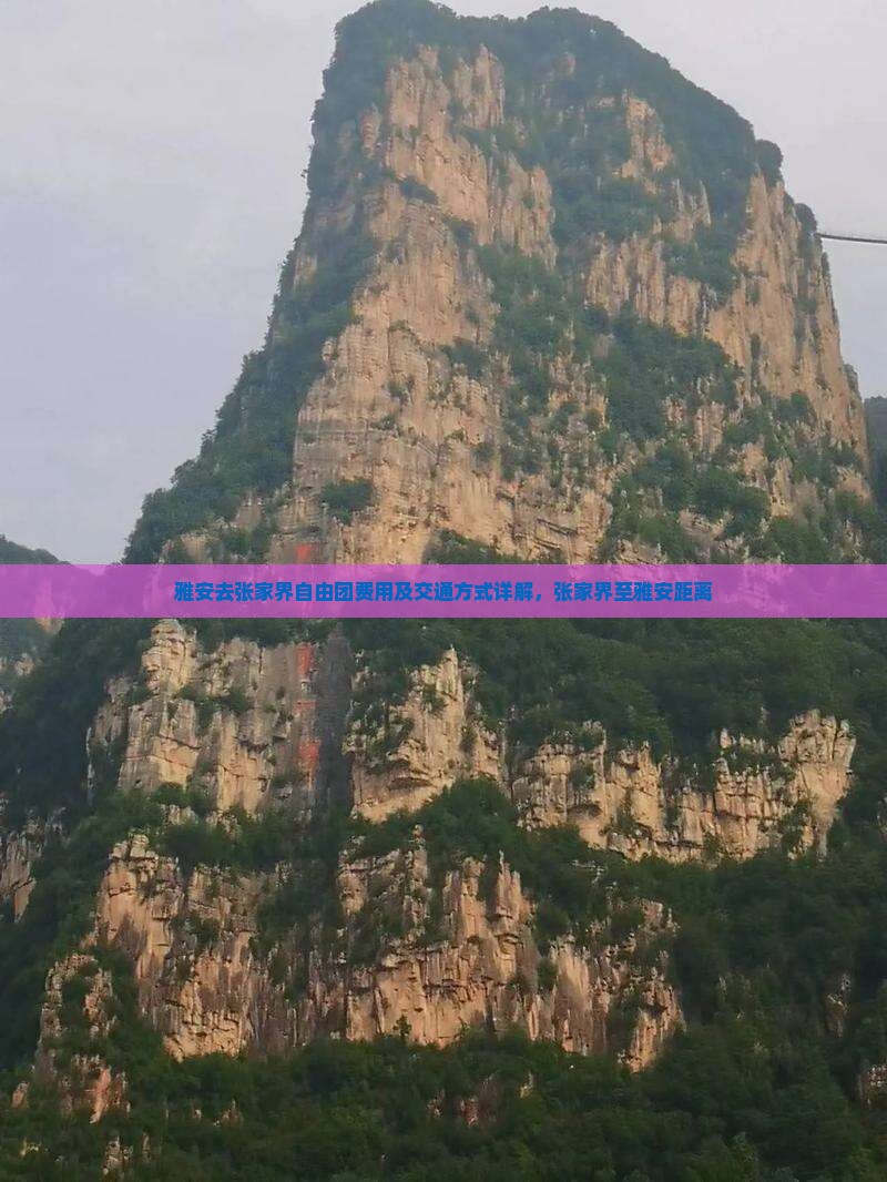 雅安去张家界自由团费用及交通方式详解，张家界至雅安距离