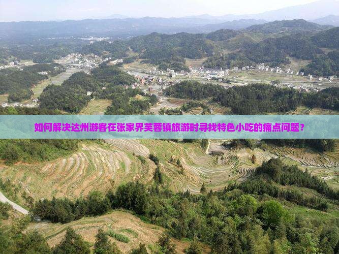 如何解决达州游客在张家界芙蓉镇旅游时寻找特色小吃的痛点问题？