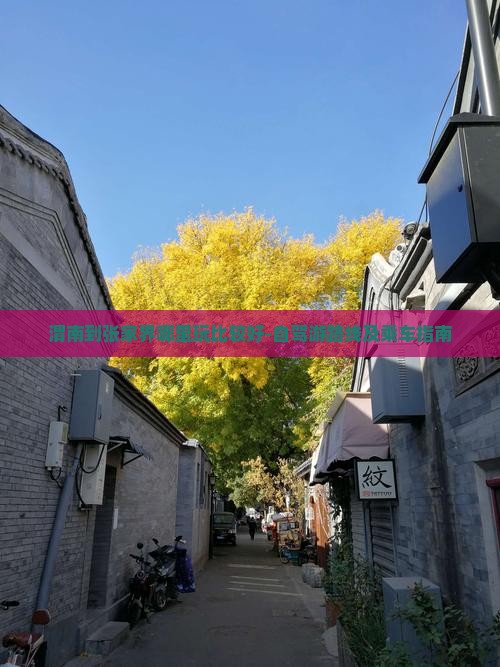 渭南到张家界哪里玩比较好-自驾游路线及乘车指南