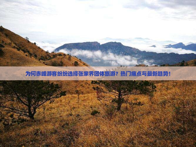 为何赤峰游客纷纷选择张家界团体旅游？热门痛点与最新趋势！
