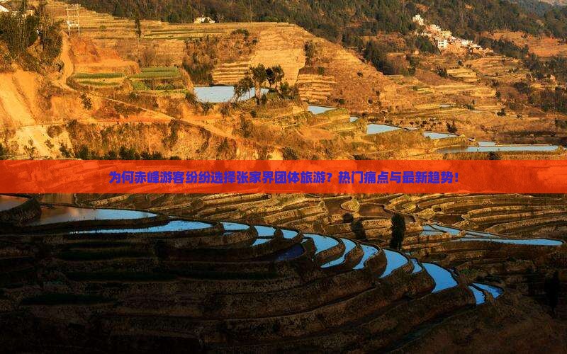 为何赤峰游客纷纷选择张家界团体旅游？热门痛点与最新趋势！