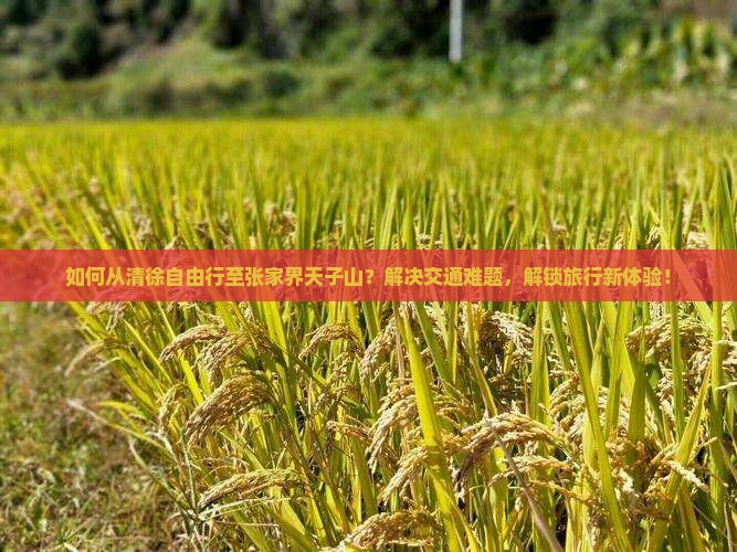 如何从清徐自由行至张家界天子山?解决交通难题,解锁旅行新体验! 如何从清徐自由行至张家界天子山?解决交通难题,解锁旅行新体验!