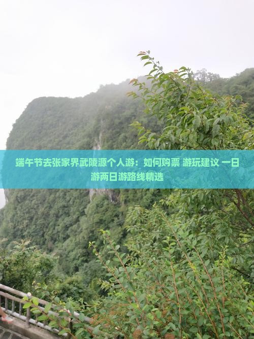 端午节去张家界武陵源个人游:如何购票+游玩建议+一日游两日游路线精选 端午节去张家界武陵源个人游:如何购票+游玩建议+一日游两日游路线精选