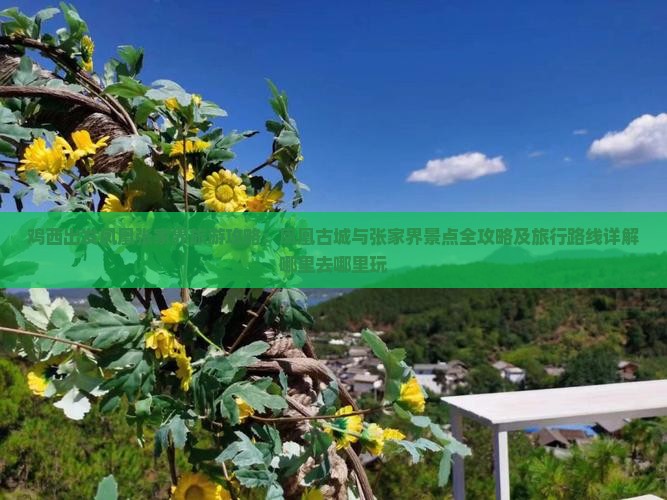 鸡西出发凤凰张家界旅游攻略:凤凰古城与张家界景点全攻略及旅行路线详解哪里去哪里玩 鸡西出发凤凰张家界旅游攻略:凤凰古城与张家界景点全攻略及旅行路线详解哪里去哪里玩