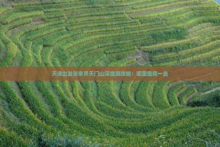 天津出发张家界天门山深度游攻略：哪里值得一去