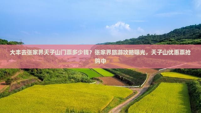 大丰去张家界天子山门票多少钱？张家界旅游攻略曝光，天子山优惠票抢购中