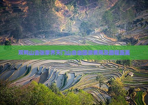 双鸭山去张家界天门山自由团游费用及路程距离